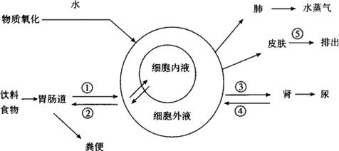 海南岛天气预报一周评测2