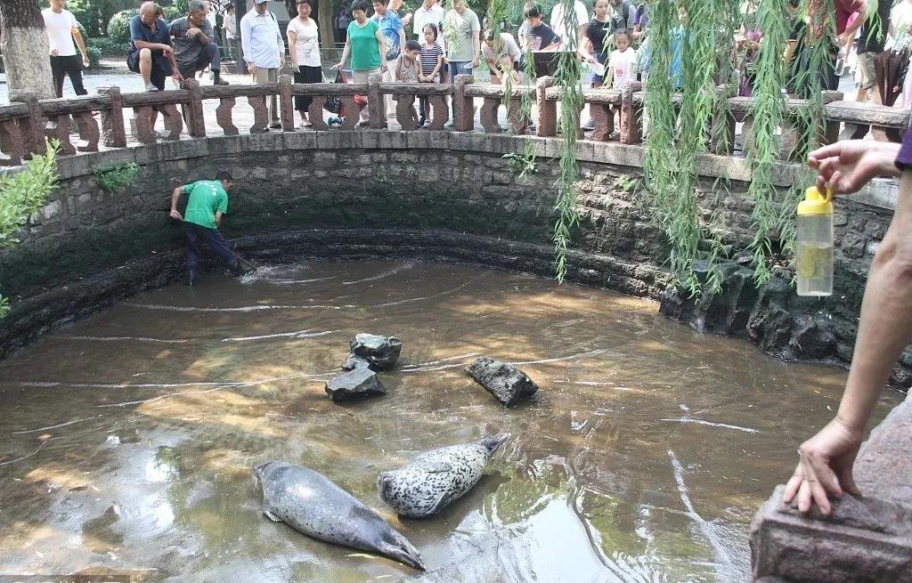 鞍山天气2345介绍